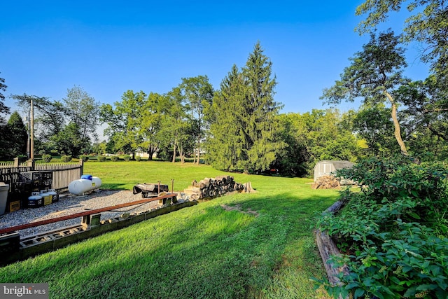 view of yard with a shed