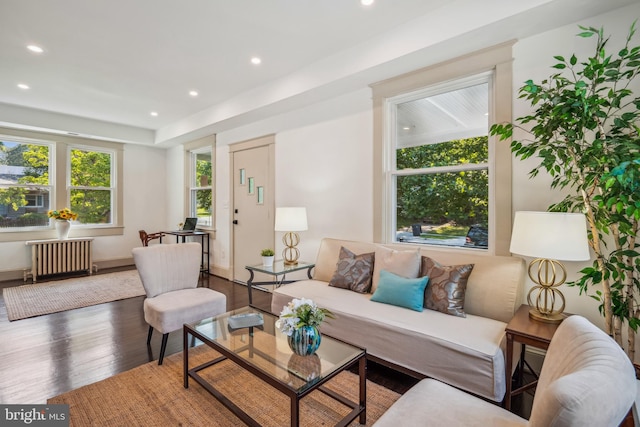 living room featuring dark wood-type flooring and radiator heating unit