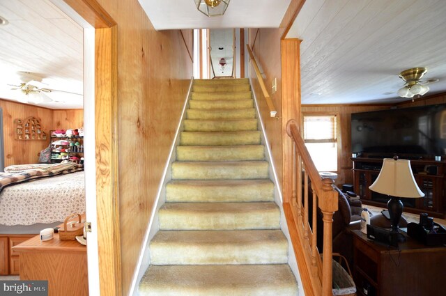 stairs featuring wood walls and ceiling fan