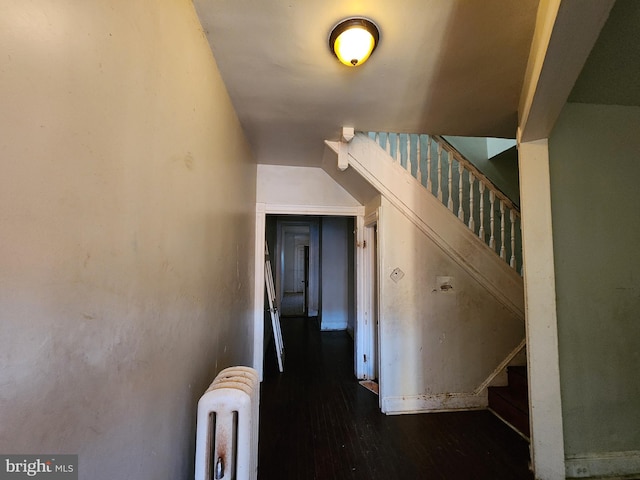 stairway featuring hardwood / wood-style flooring and radiator