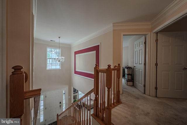 corridor with a notable chandelier, light carpet, and ornamental molding