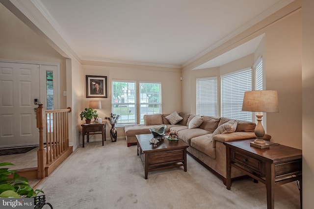 living room with light colored carpet and crown molding