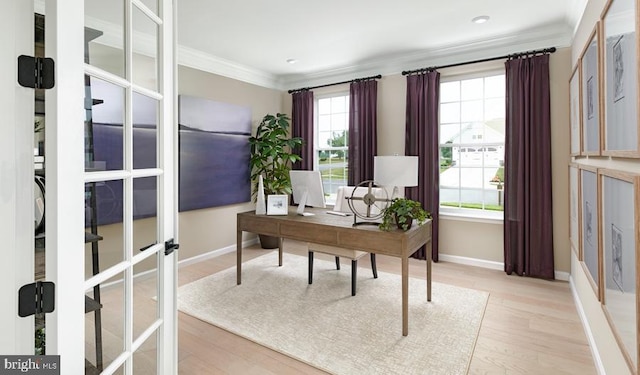 office space featuring crown molding and light hardwood / wood-style flooring