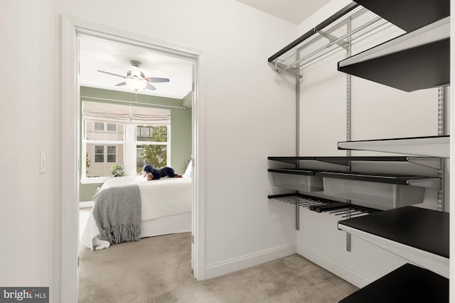 spacious closet with ceiling fan and light colored carpet