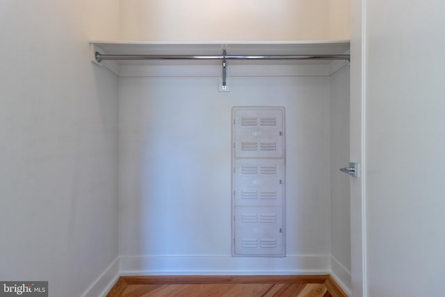 walk in closet with hardwood / wood-style flooring