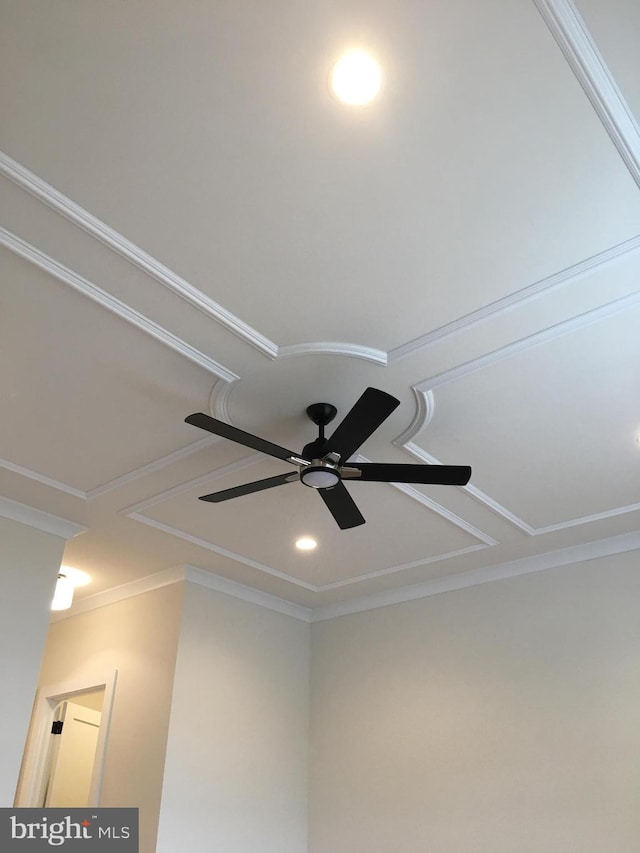 interior details featuring ceiling fan and ornamental molding