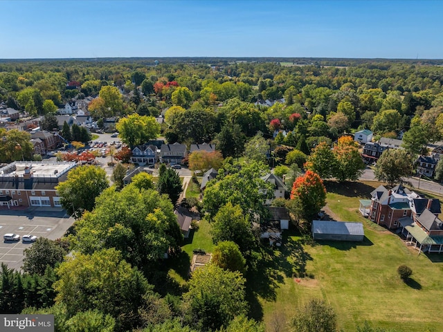 bird's eye view