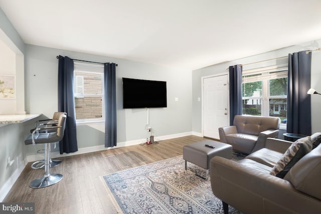 living room featuring wood-type flooring