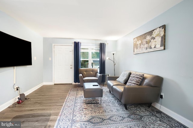 living room with wood-type flooring