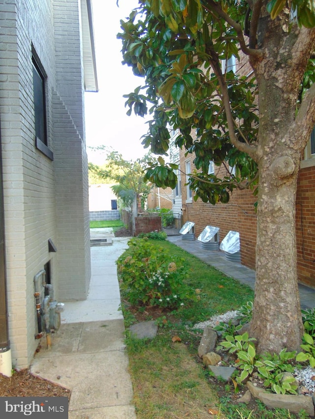 view of yard featuring a patio