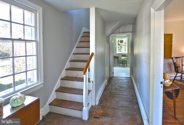 staircase with wood-type flooring and a baseboard radiator