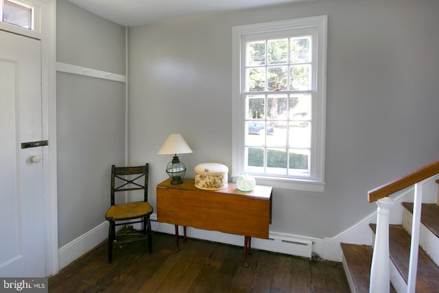 living area with dark hardwood / wood-style flooring