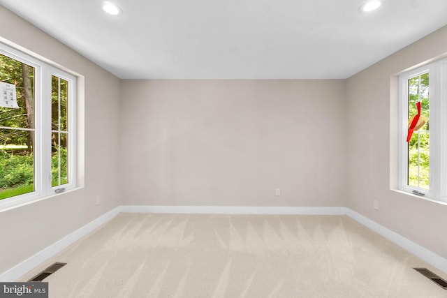 unfurnished room featuring a healthy amount of sunlight and carpet floors