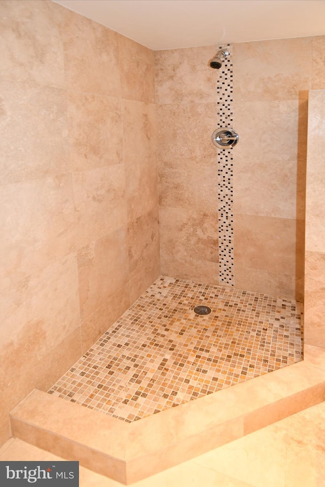 room details featuring a tile shower