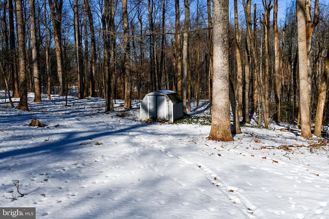 view of snowy yard