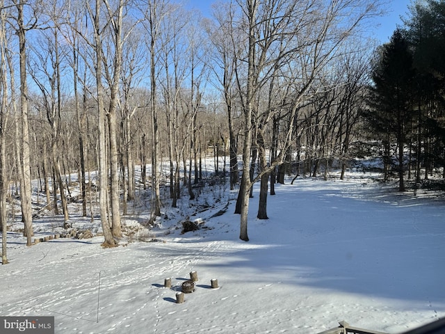 view of snowy yard