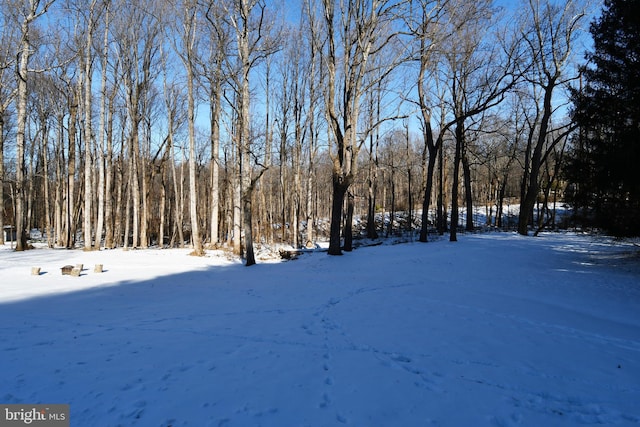 view of yard covered in snow