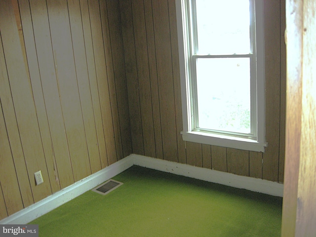 carpeted empty room featuring wood walls and golf simulator