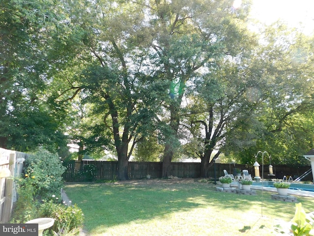 view of yard with a fenced in pool