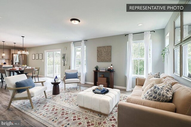 living room featuring plenty of natural light and hardwood / wood-style flooring