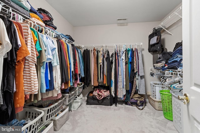 walk in closet featuring carpet flooring