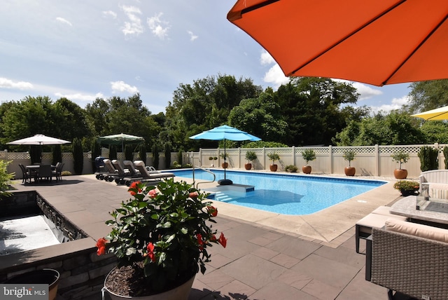 view of pool with a patio area