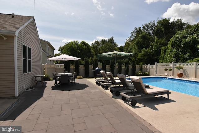 view of swimming pool with a patio area