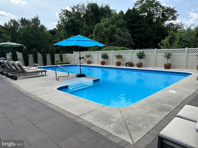 view of swimming pool featuring a patio area