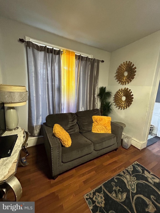 living room featuring dark hardwood / wood-style flooring