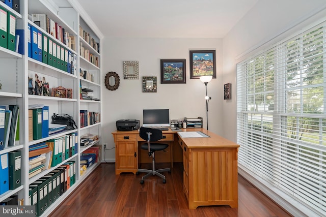 home office with dark hardwood / wood-style flooring