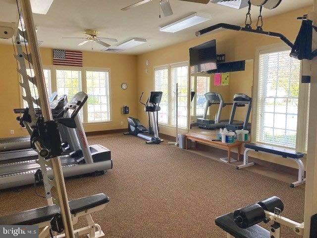 workout area featuring ceiling fan and plenty of natural light