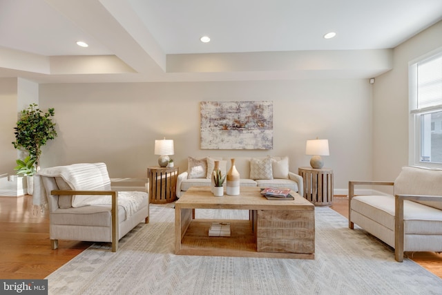 living room featuring light hardwood / wood-style flooring