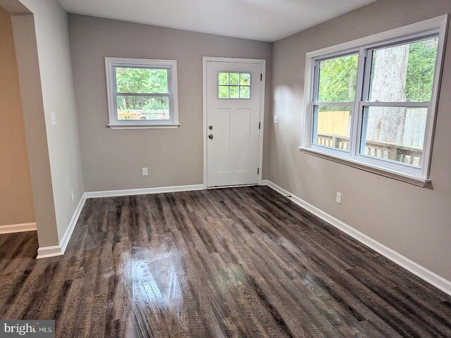 foyer with dark hardwood / wood-style flooring and plenty of natural light