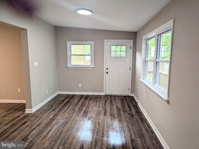 interior space with dark hardwood / wood-style floors