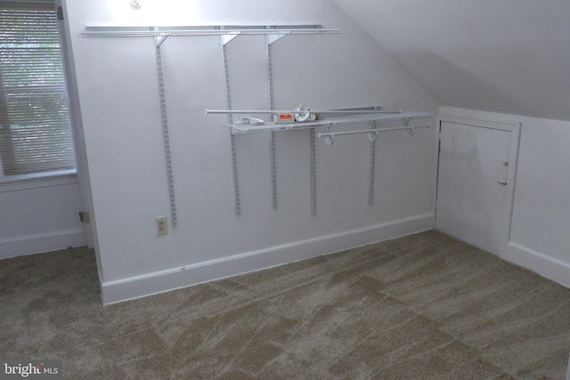 walk in closet with carpet flooring and vaulted ceiling