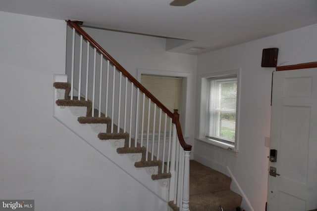 stairway featuring carpet