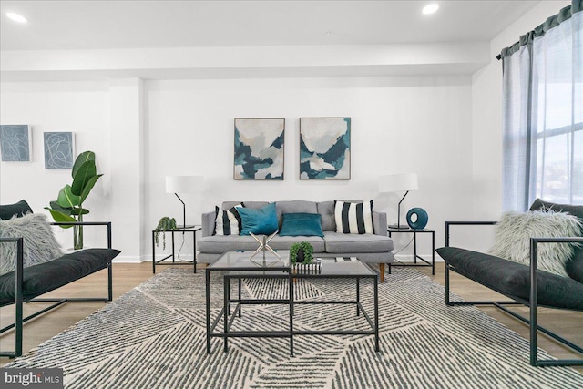 living room with hardwood / wood-style flooring and a healthy amount of sunlight