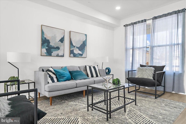 living room featuring hardwood / wood-style flooring