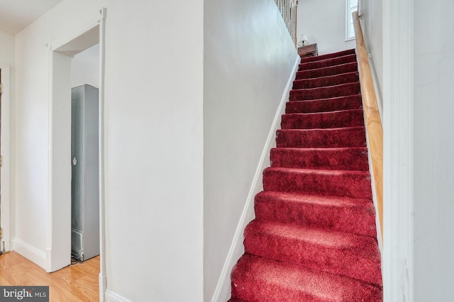 staircase with wood-type flooring