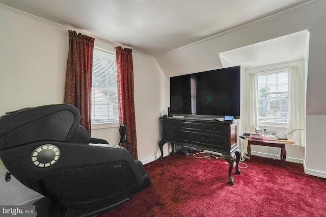 interior space featuring crown molding, vaulted ceiling, and carpet