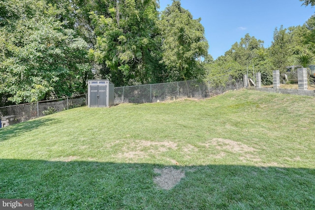 view of yard featuring a shed