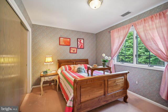 bedroom featuring carpet and a closet