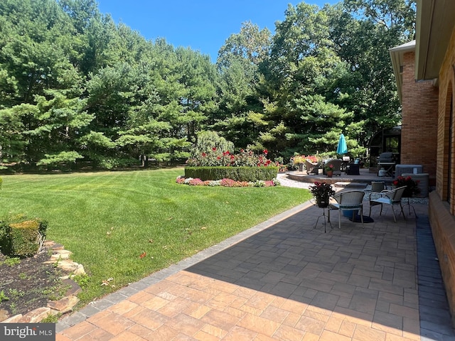 view of yard with a patio area