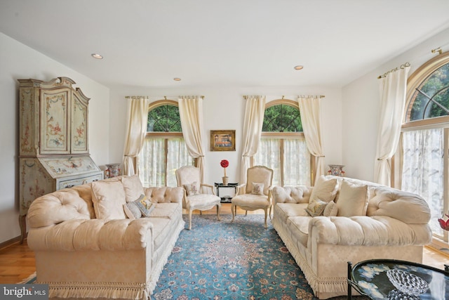 living room featuring light hardwood / wood-style floors