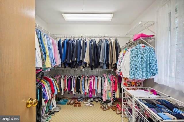 view of walk in closet