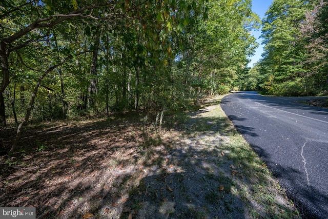 Listing photo 3 for Normas Way, Mc Henry MD 21541