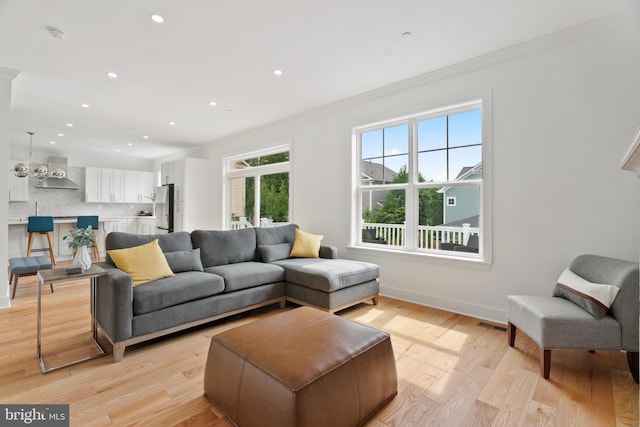 living room featuring ornamental molding and light hardwood / wood-style flooring