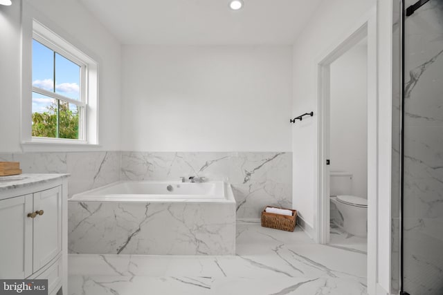 bathroom with a bathtub, vanity, and toilet