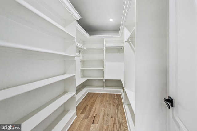 spacious closet with light wood-type flooring