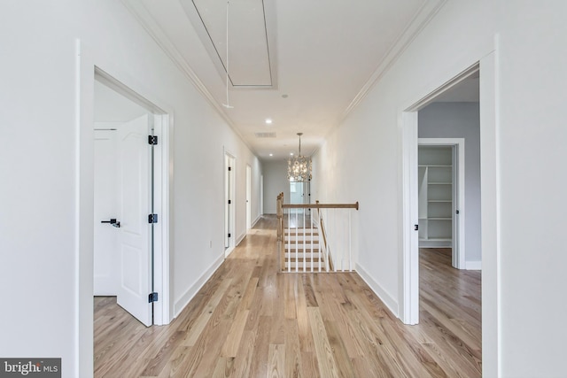 corridor featuring crown molding and light hardwood / wood-style flooring